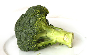 broccoli01